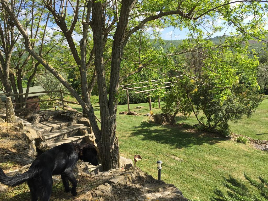 Agriturismo Podere S. Croce Сатурния Экстерьер фото